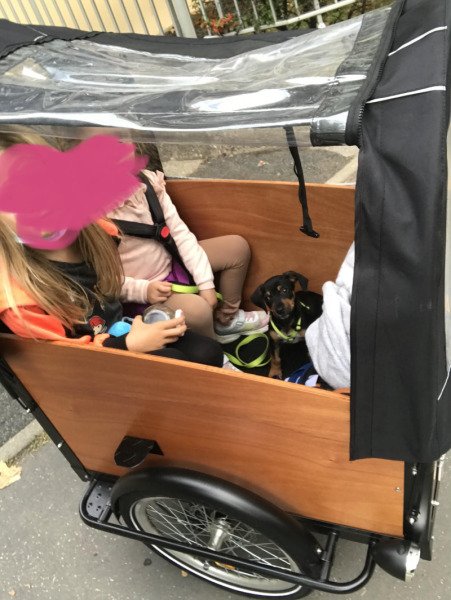 Triporteur pour des sorties en famille, adapté aux animaux ! image