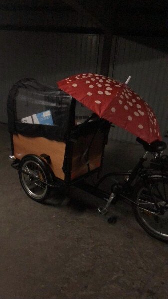 Triporteur pour se balader en famille, les animaux aussi ! image