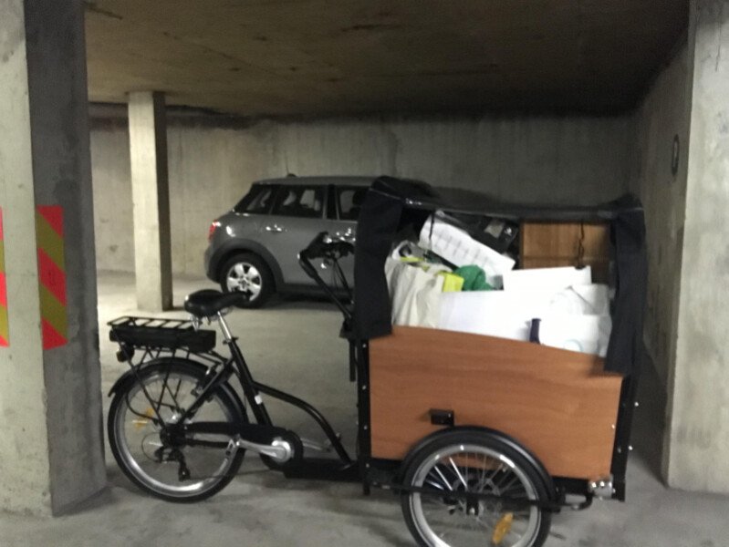 Triporteur pour se balader en famille, les animaux aussi ! image