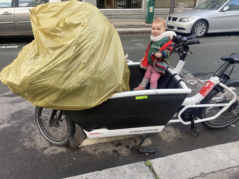 Cargo bike Urban Arrow image