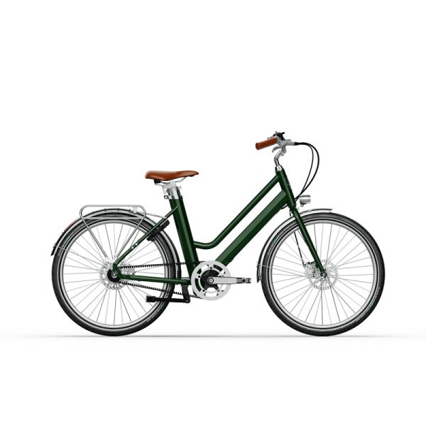 electric bike rental image