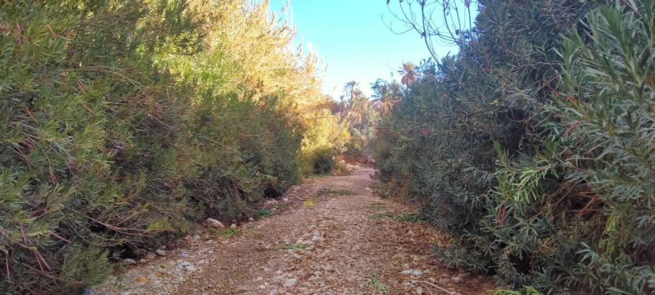 Bike rental available image