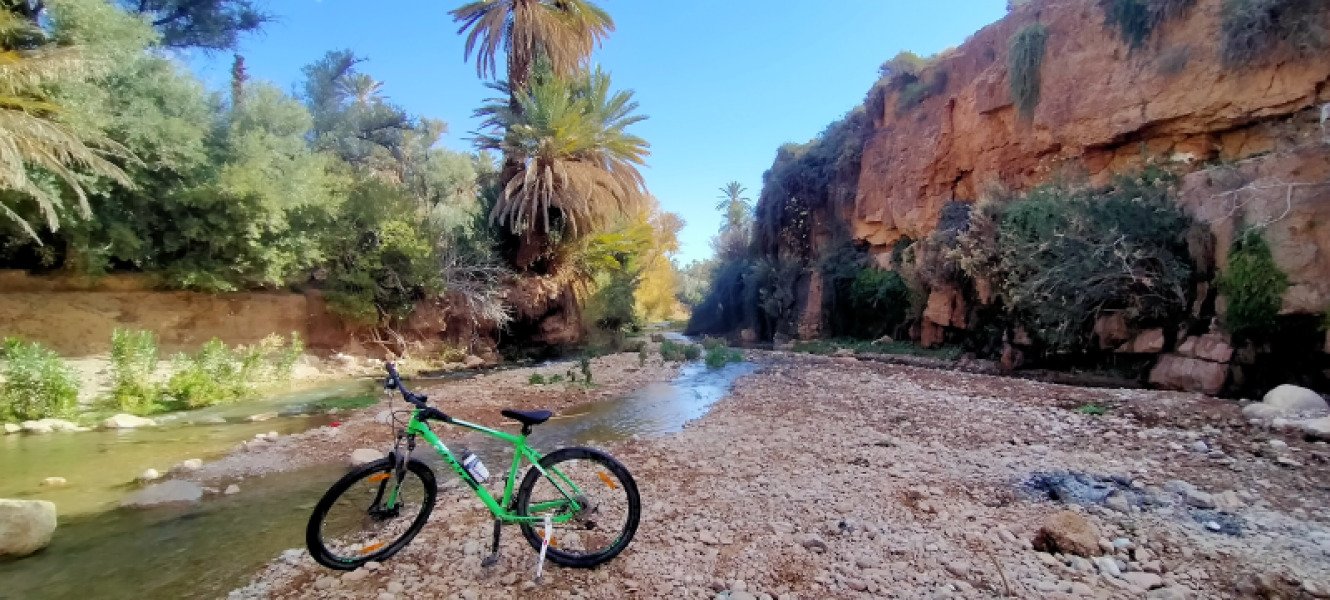 Bike rental available image