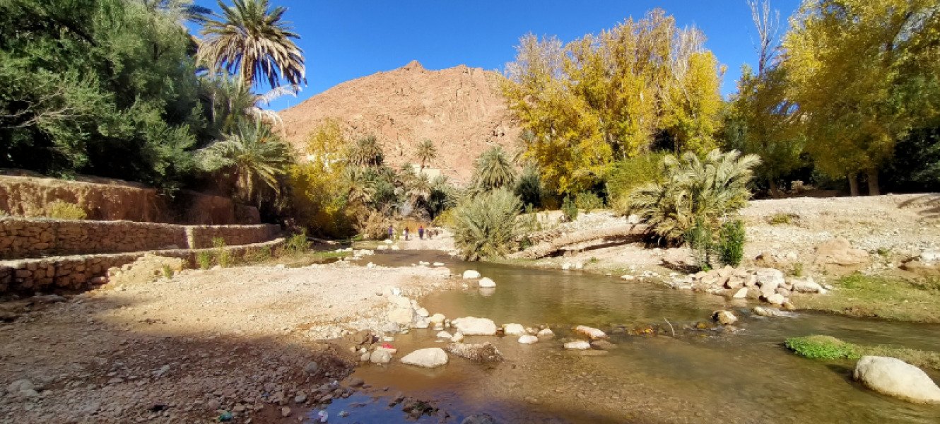 Bike rental available image