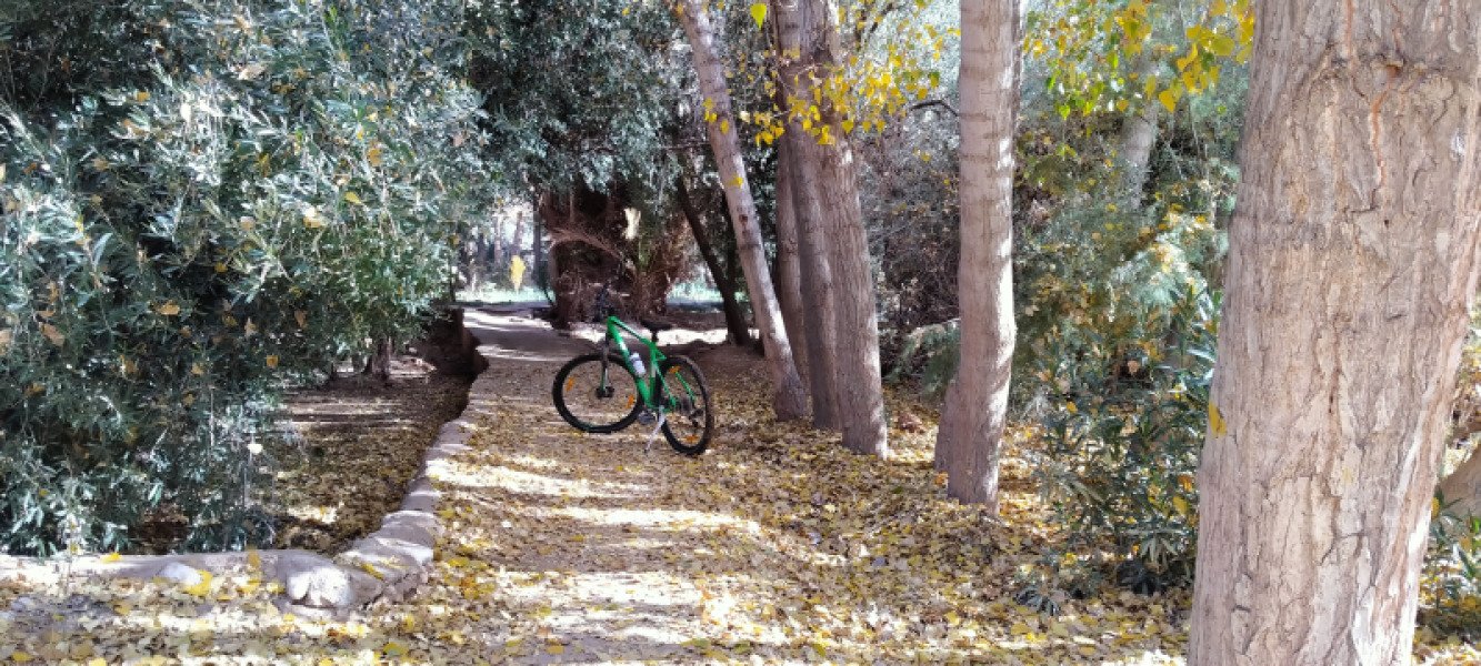 Bike rental available image