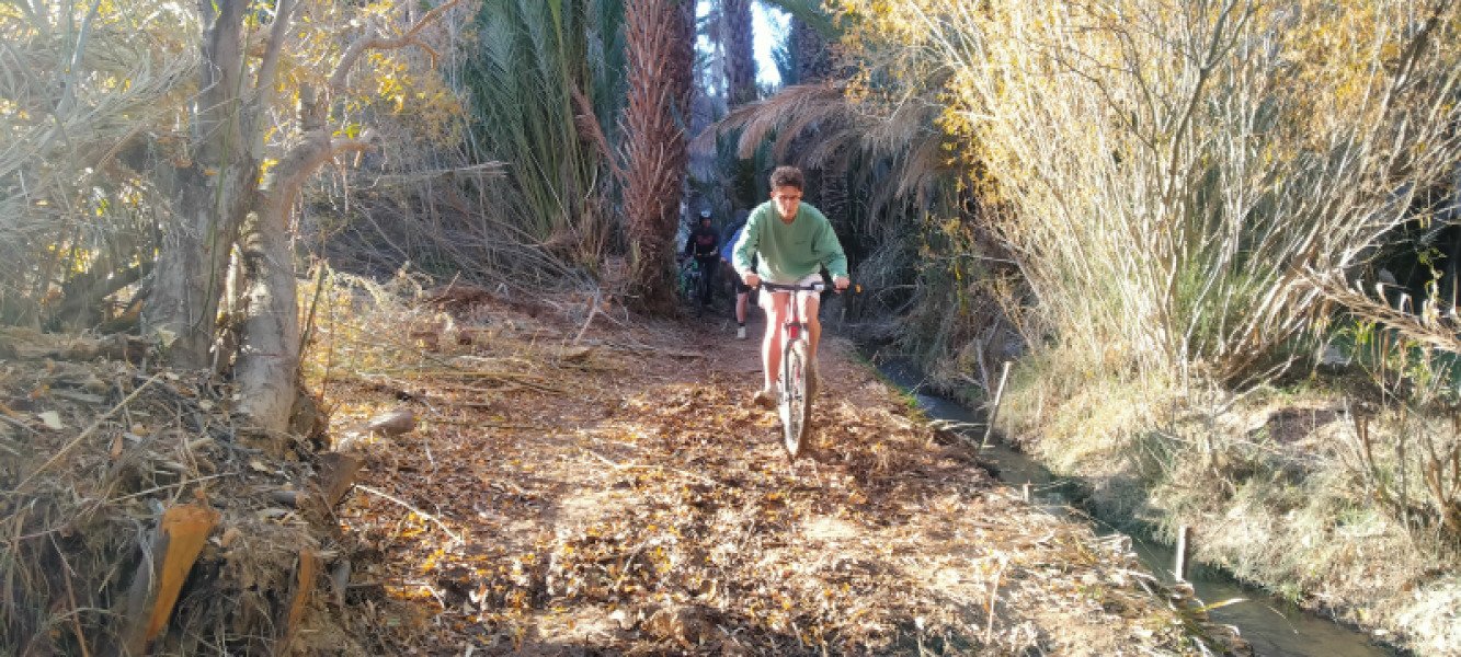 Bike rental available image