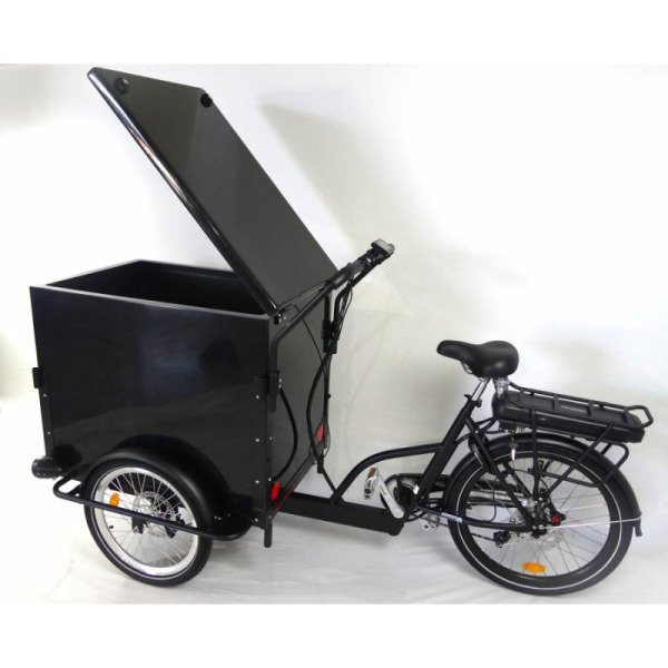 Triporteur cargo électrique image