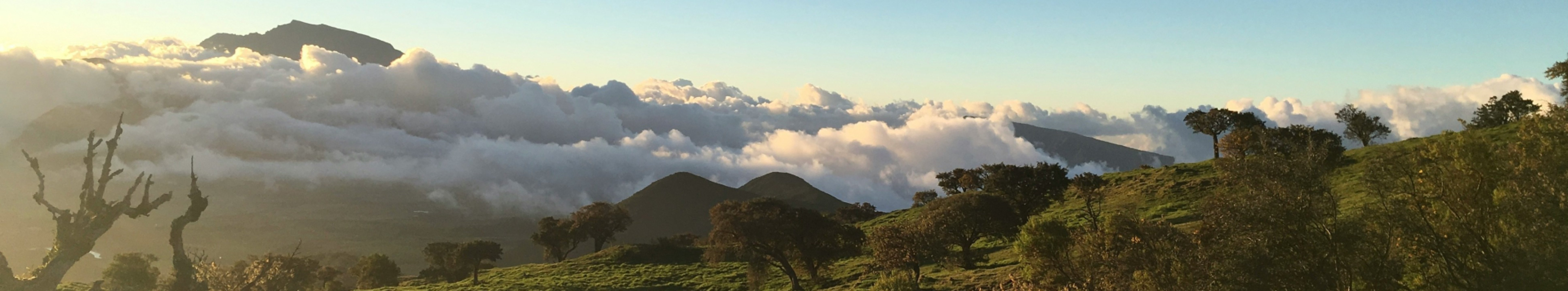 Cycliste à La Réunion