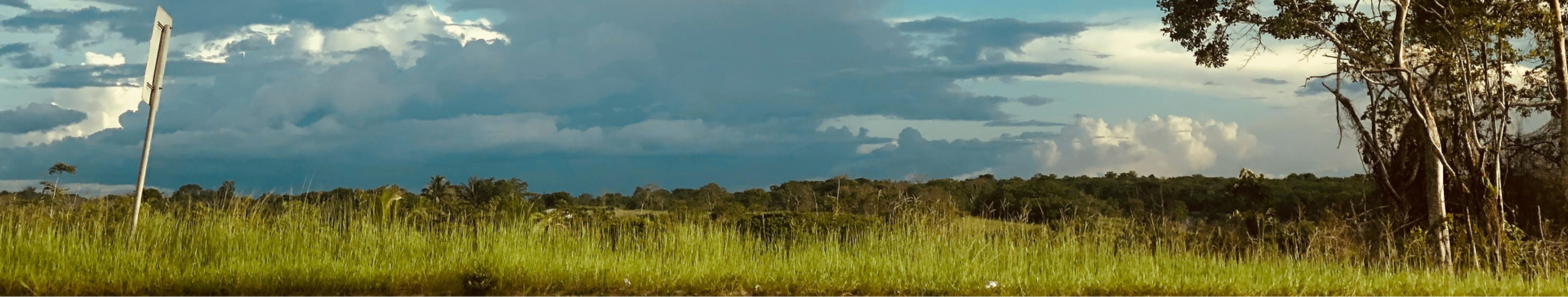 Location de vélo en Guyane - forêt amazonienne