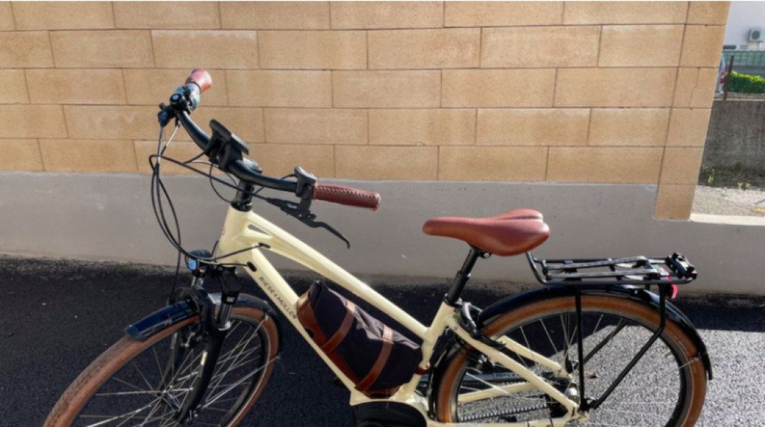 🚲 Location Vélo Électrique Riese & Müller avec Siège Enfant image