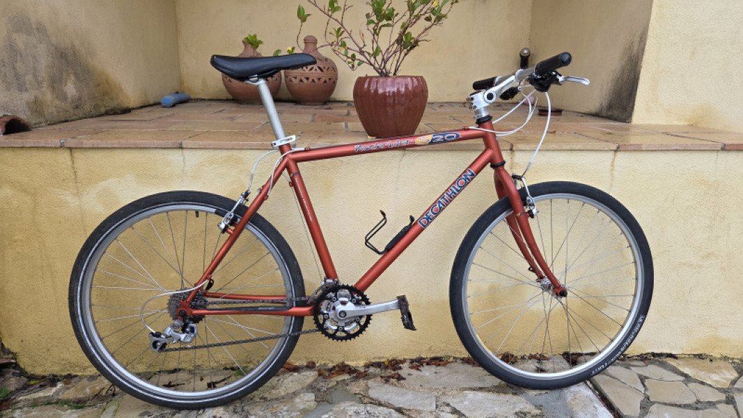 Vélo rando/utilitaire/voyage RR520 image