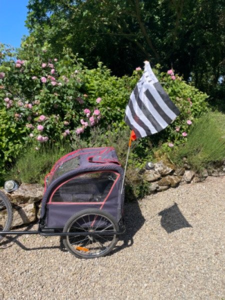 Remorque Decathlon image