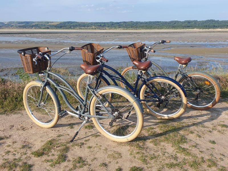 Vélo de ville Arcade Beach cruiser image