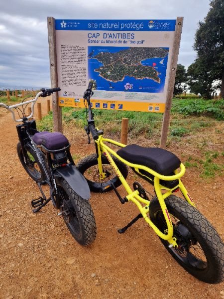 VTC Ruff Cycle image