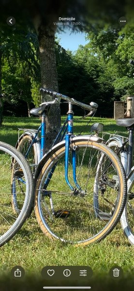 Vélo de ville Chevalier image