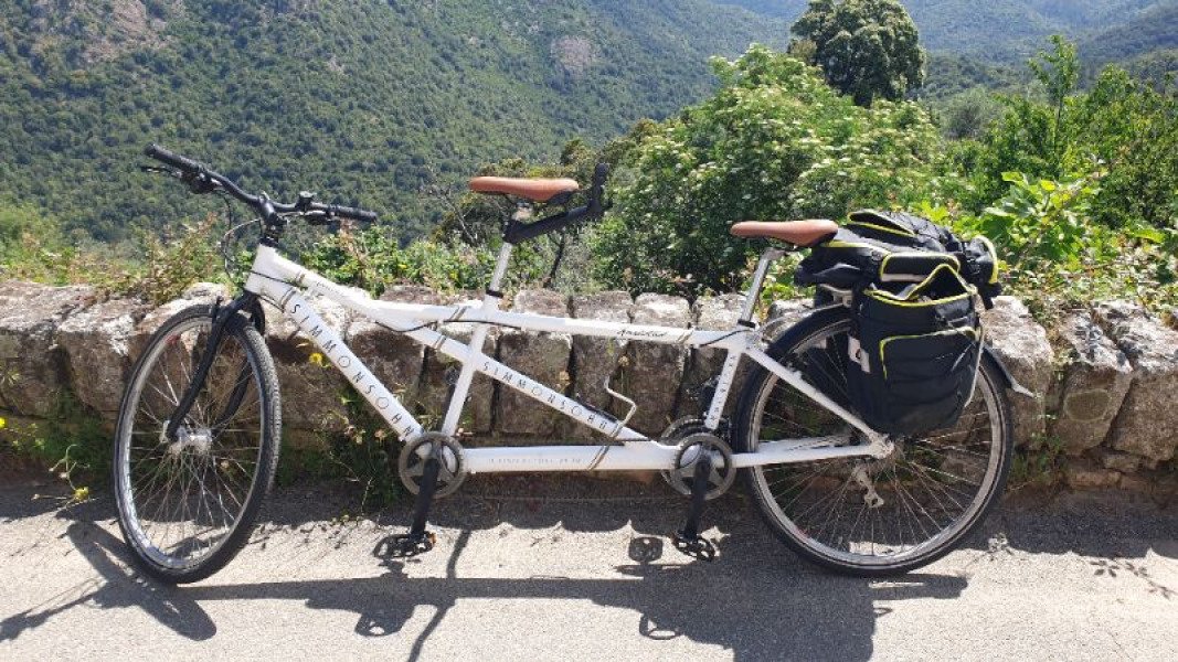 Tandem Simmonsohn image