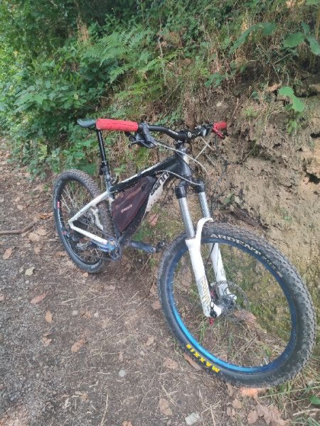 VTT Sunn Forestjump image