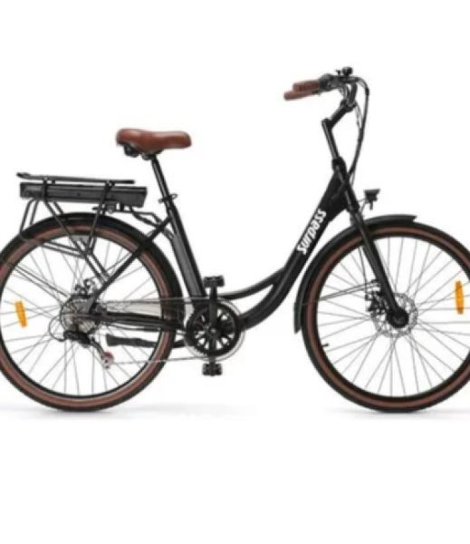 Vélo de ville Surpass image