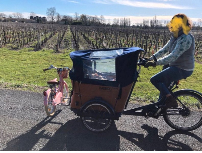 Cargo Babboe Curve mountain image