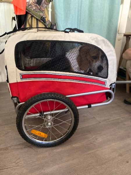 Remorque Leonpets image