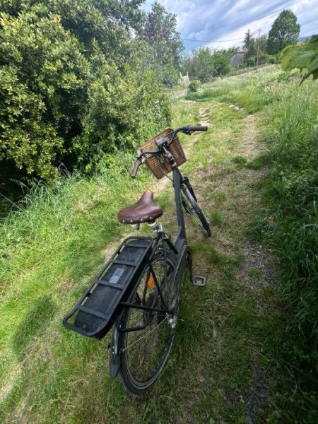 Vélo de ville Arcade image