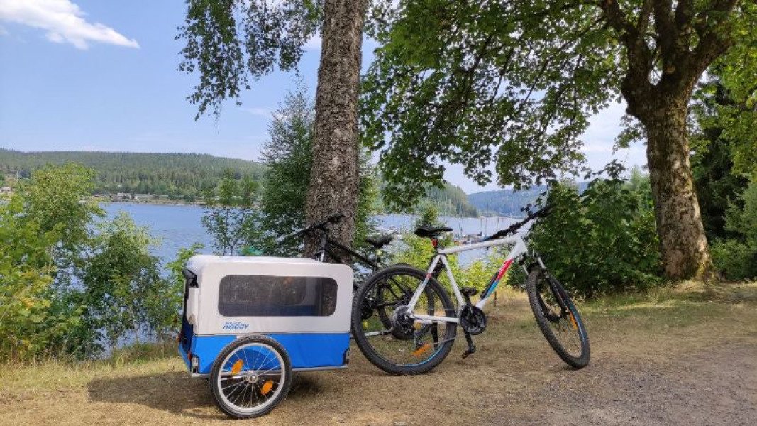 Remorque XLC DOGGY Doggy Van BS-L04 image