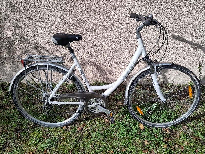 VTC Giant Expression DX image