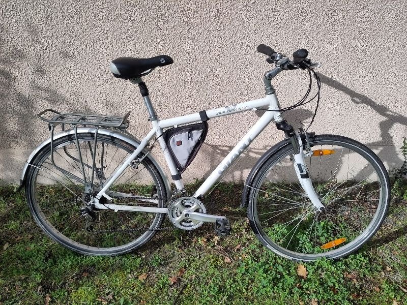 VTC Giant Expression DX image