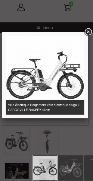 Cargo Bergamont CARGOVILLE BAKERY image