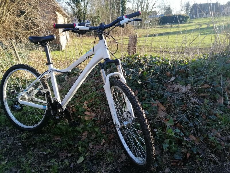 VTT Giant REVEL image