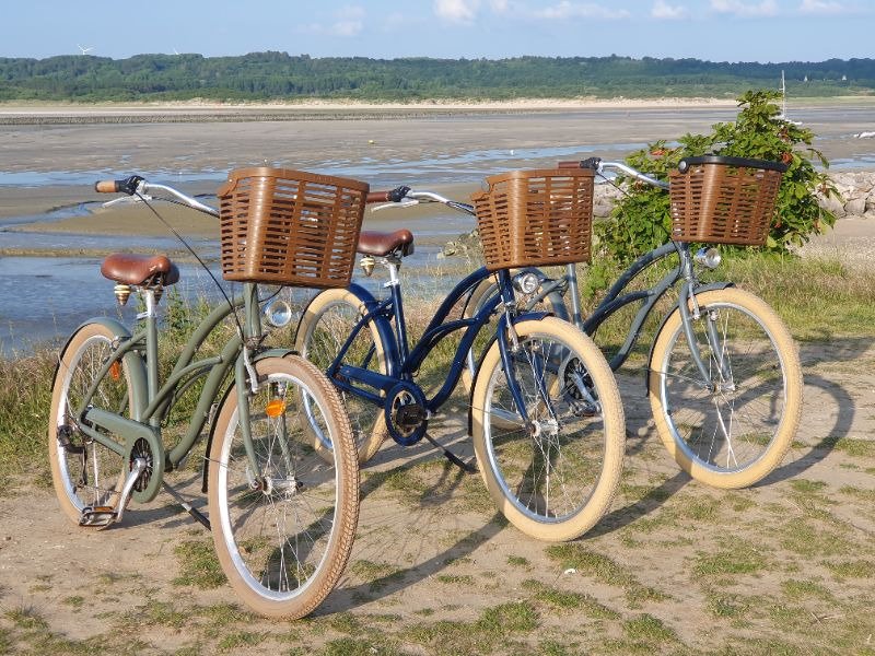 Vélo de ville Arcade Beach cruiser image