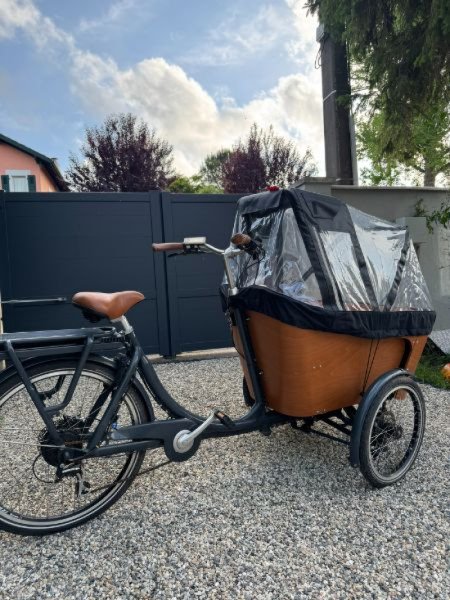 Cargo Babboe Carve-E image