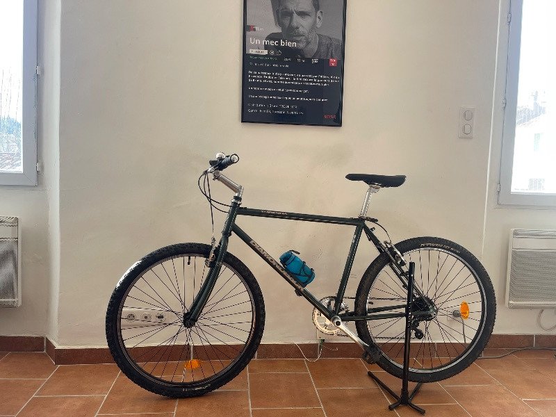 Gravel Diamond Back Topanga image