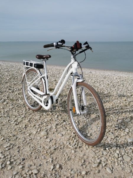 Vélo de ville Decathlon  ELOPS 920E image