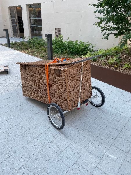 Remorque Carry Freedom Y frame image