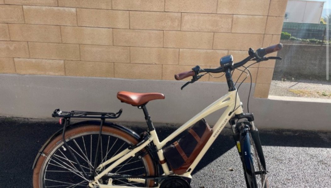 VTC riese Müller vélo électrique image