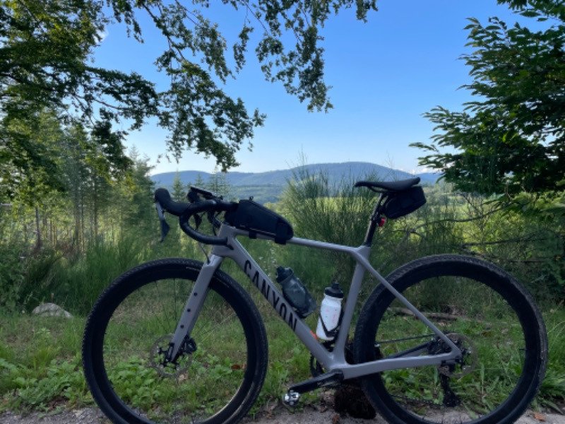 Gravel Canyon Grizl image