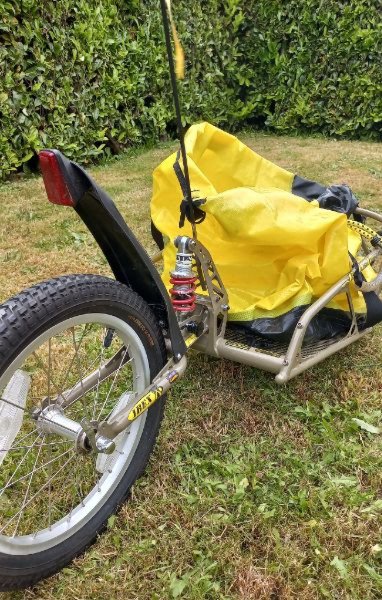 Remorque BOB Ibex image