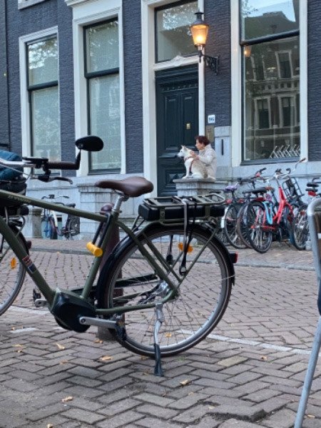 Vélo de ville Elops 920E image