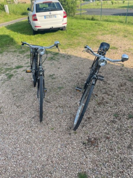 Vélo de ville Raleigh image