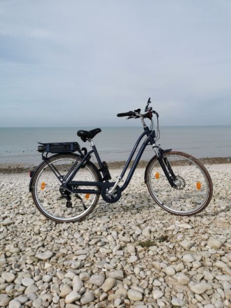 Vélo de ville Decathlon  ELOPS 900E image