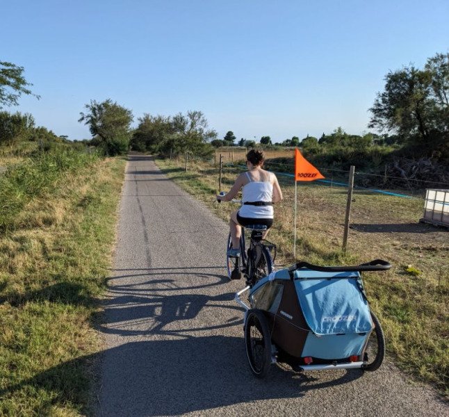 Remorque Croozer Kid Plus for 2 image