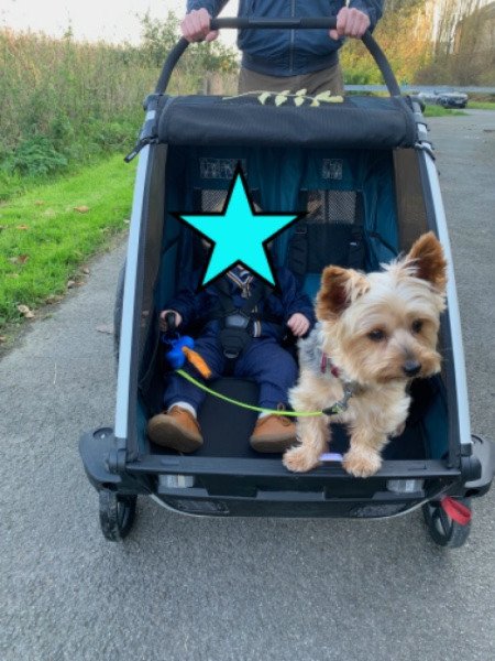 Remorque Thule Cross 2 image