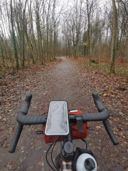 Gravel Cannondale Topstone 2 image