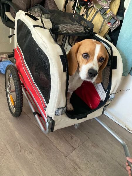 Remorque Leonpets image