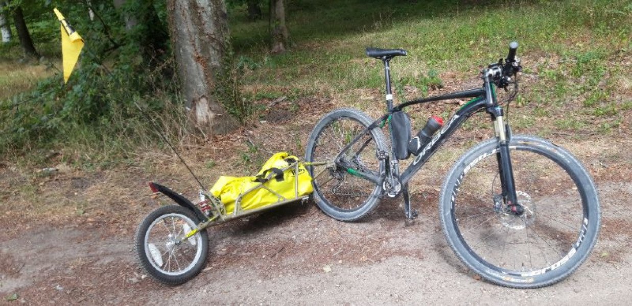 Remorque BOB Ibex image