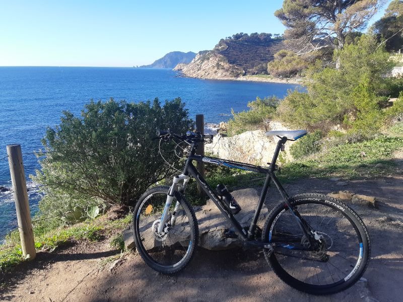 VTT Orbea SATE image