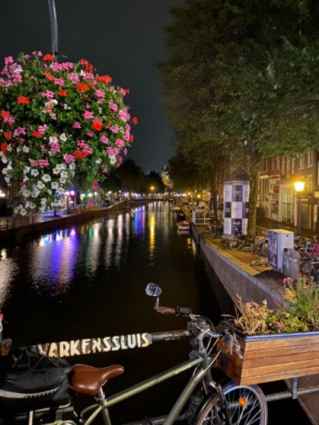 Vélo de ville Elops 920E image