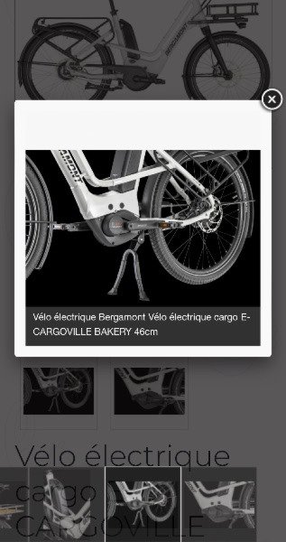 Cargo Bergamont CARGOVILLE BAKERY image