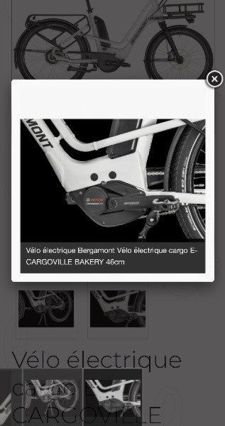 Cargo Bergamont CARGOVILLE BAKERY image